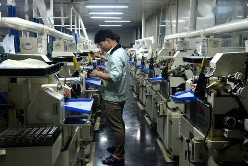 雙百雙千丨技術服務賦能企業 閩侯經濟技術開發區在疫情下的護航行動