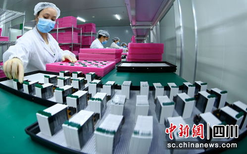 南充蓬安擘畫新藍圖 技術服務開啟高質量發展新征程